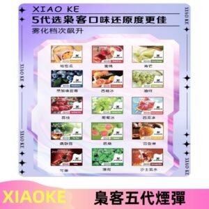 梟客五代煙彈|XIAOKE可替換式電子煙|通用Relx6代|ILIA五代主機