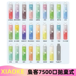 梟客XIAOKE|7500口可發光拋棄式電子煙 跑馬燈一次性
